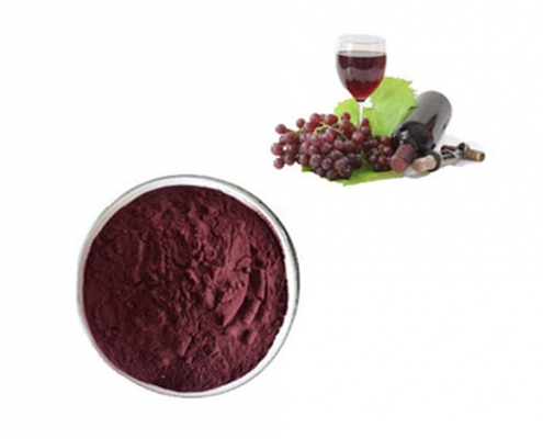  Wholesale antioxidant polyphenols red wine extract powder manufacturer